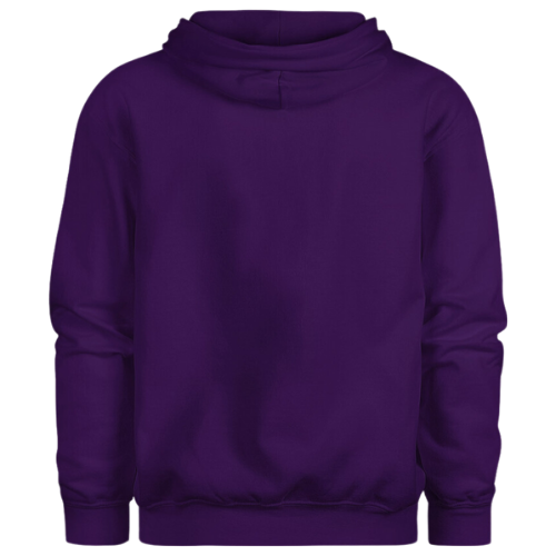 IWY HOODIE (Purple & Gold)